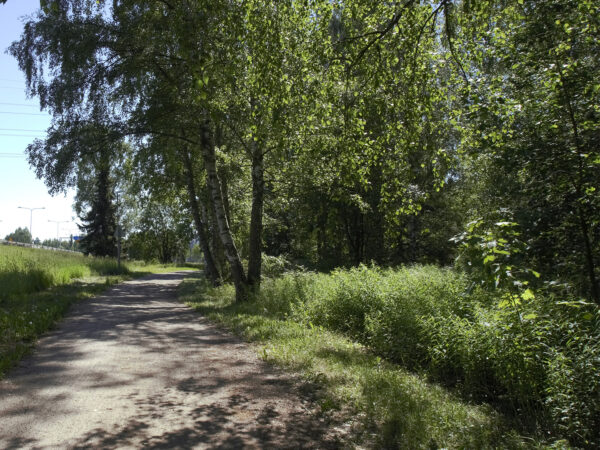 Lähiluontoreitin esisuunnittelu